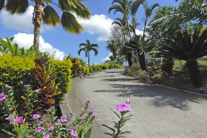 Finca Hotel La Coralia